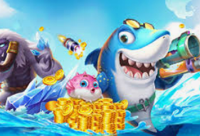 k·yun新网站登录下载app最新版